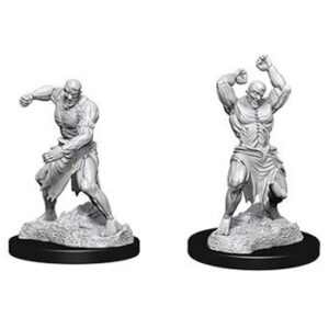 D&D Nolzur's Marvelous Miniatures - Golem di Carne