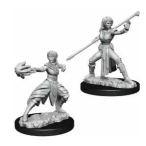 D&D Nolzur's Marvelous Miniatures - Monaco Mezzelfo Femmina