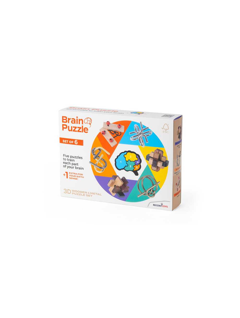 BRAIN PUZZLE SET OF 6