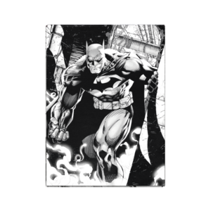Dragon Shield - Standard Licensed Art Sleeves Dual: Dark Knight [Matte] (100 Sleeves)